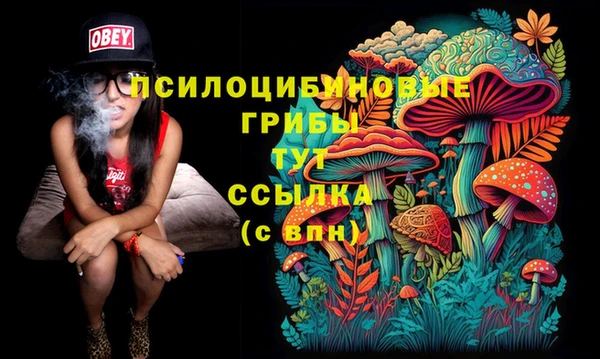 экстази Бронницы