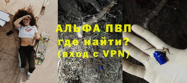 прущий лед Бородино
