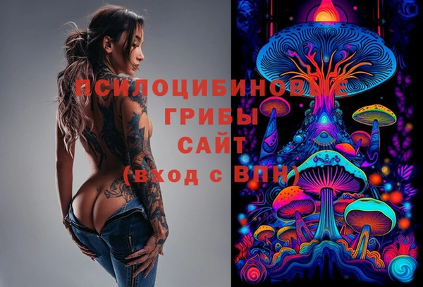 прущий лед Бородино