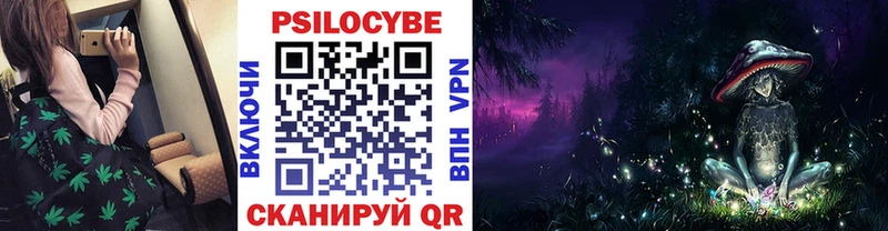 Псилоцибиновые грибы Psilocybine cubensis  Славянск-на-Кубани 